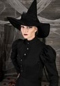 Womens Witch Plus Costume  Alt 2