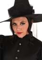 Deluxe Wicked Witch Costume