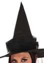 Deluxe Wicked Witch Costume