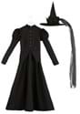 Deluxe Wicked Witch Costume