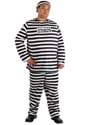 Plus Size Men's Prisoner Costume