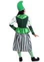 Plus Size Deluxe Munchkin Woman Costume