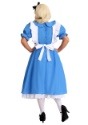 Deluxe Plus Size Alice Costume