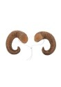 Adult Ram Horns4