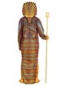 Adult King Tut Sarcophagus Costume
