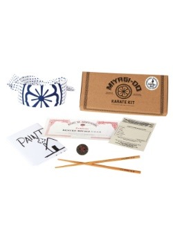 Miyagi-Do Karate Kid Kit