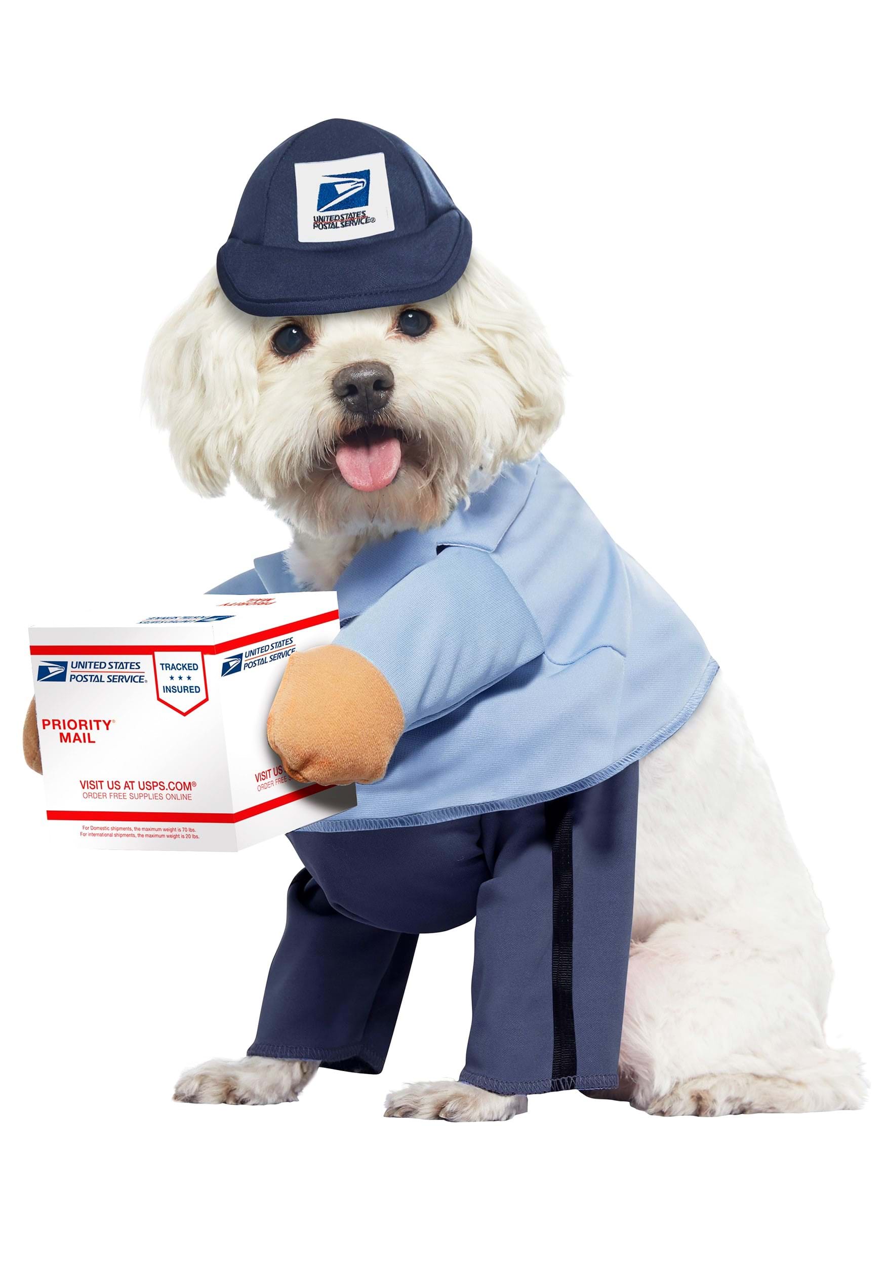 https://images.halloweencostumes.eu/products/57553/3-1/usps-dog-mail-carrier-costume.jpg