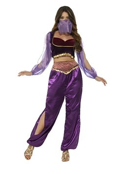 Womens Purple Belly Dancer Costume