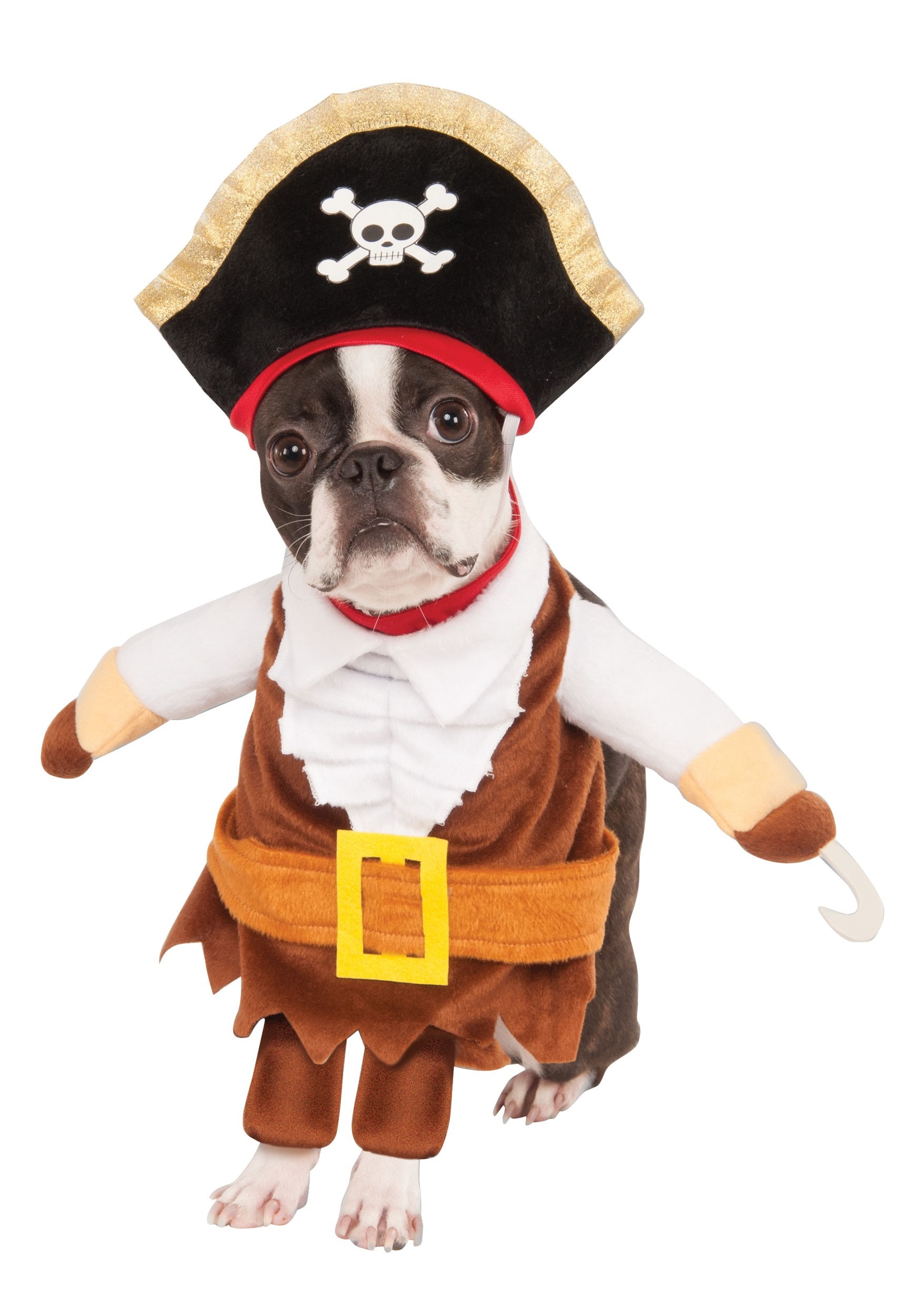 Pirate Costume for Dogs and Cats