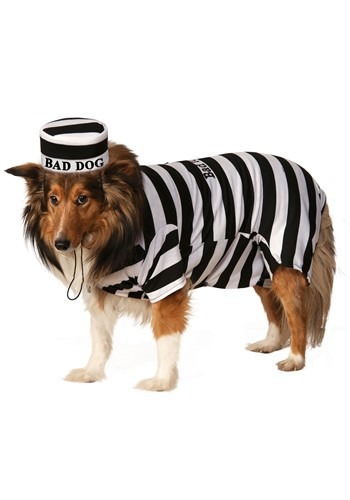 Prisoner Pet Costume