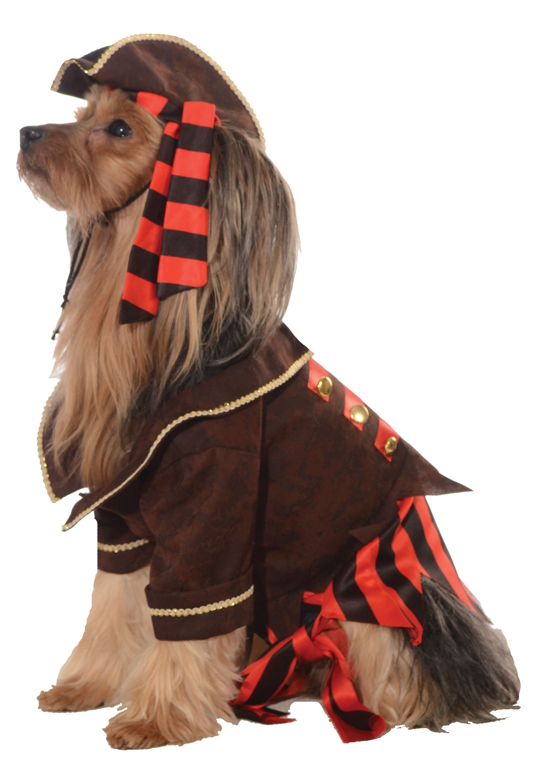 Pirate Costume for Dogs