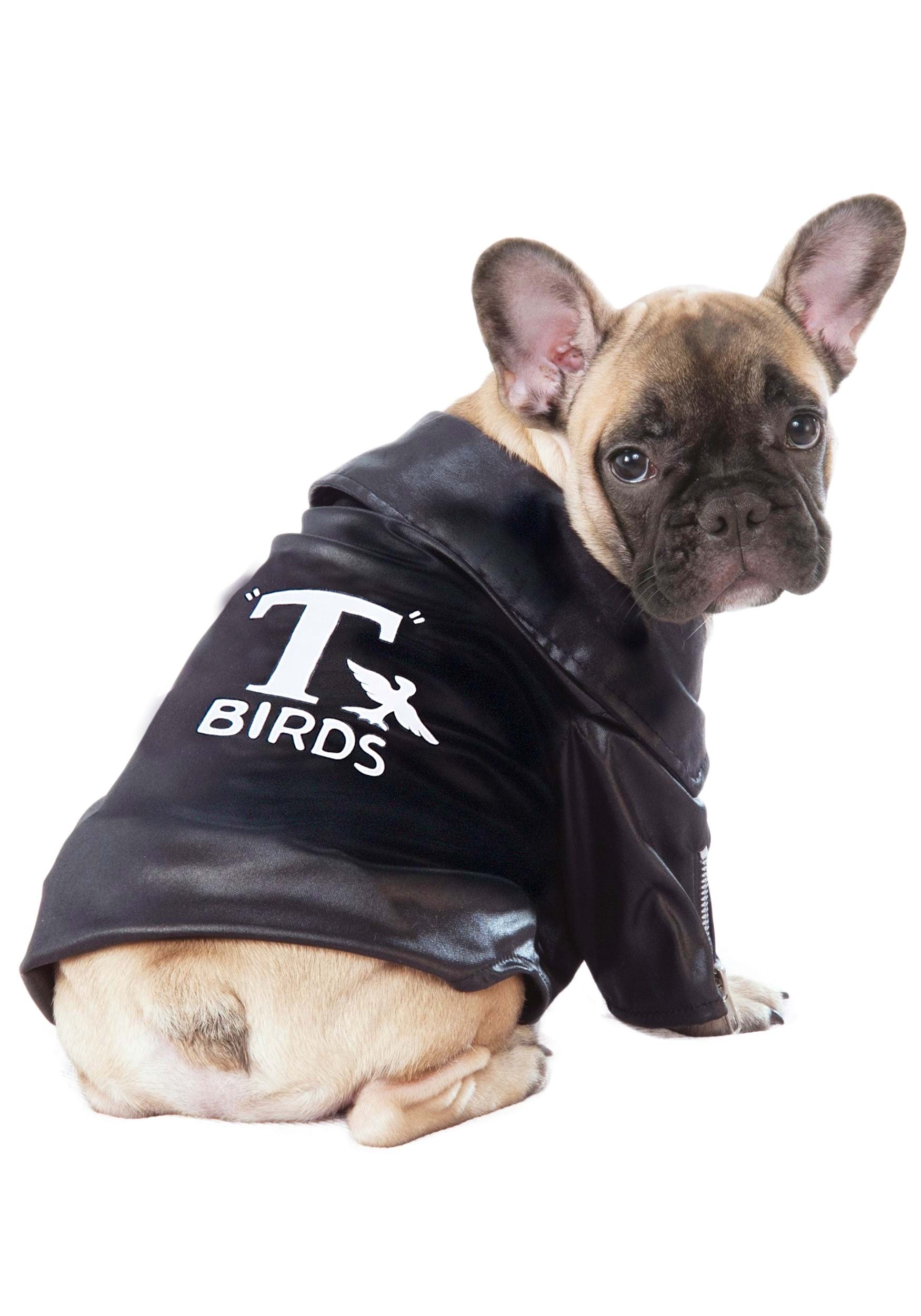 Grease T-Birds Jacket Dog Fancy Dress Costume
