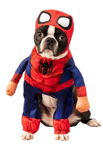 Spider-Man Pet Costume 1
