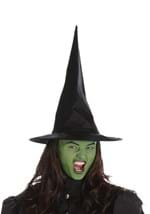 Wicked Witch Women's Costume