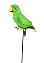 Parrot Shoulder Buddy Alt 1
