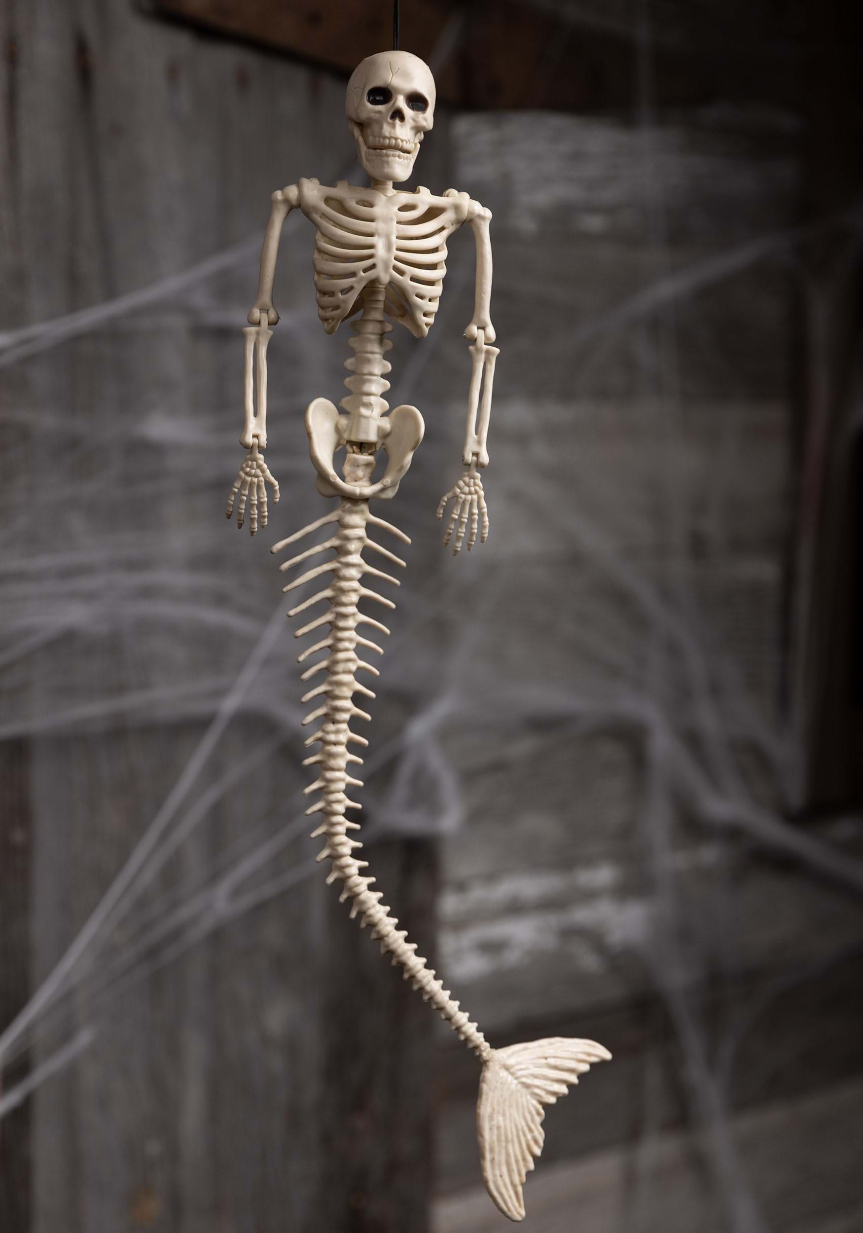 21 Inch Skeleton Mermaid Halloween Prop | Halloween Skeletons
