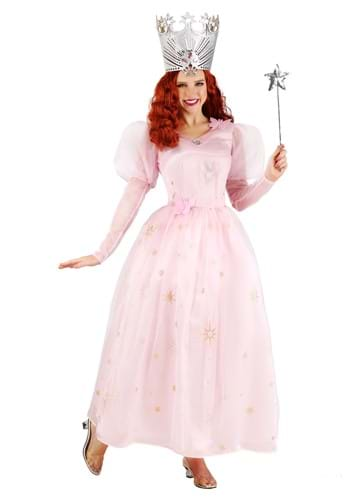 Plus Size Women's Cinderella Fairy Godmother Costume