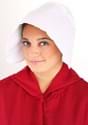 Plus Size Handmaid's Tale Womens Costume