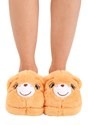 Adult's Tenderheart Care Bear Slippers Alt 3