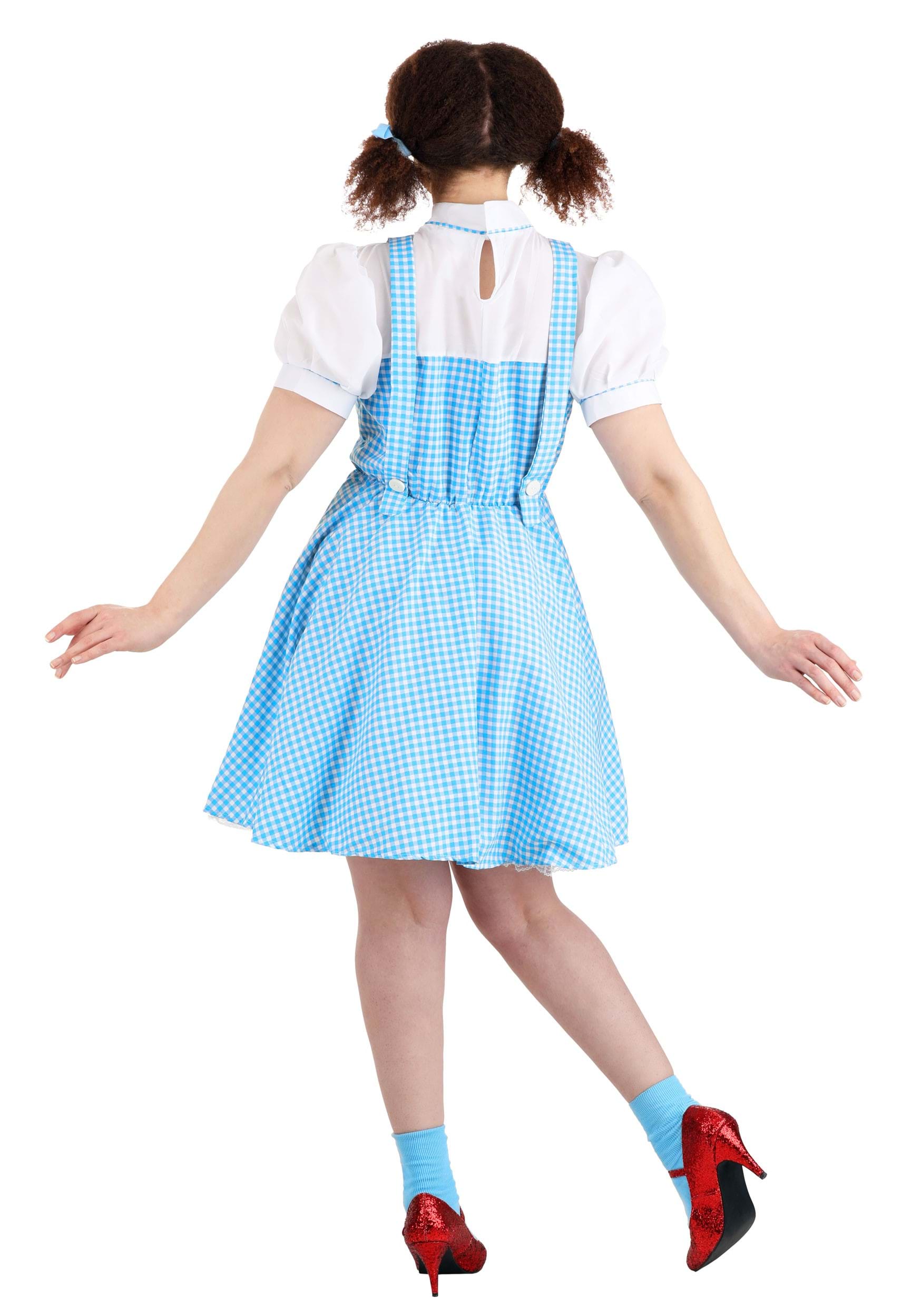 Wizard Of Oz Dorothy Adult Fancy Dress Costume