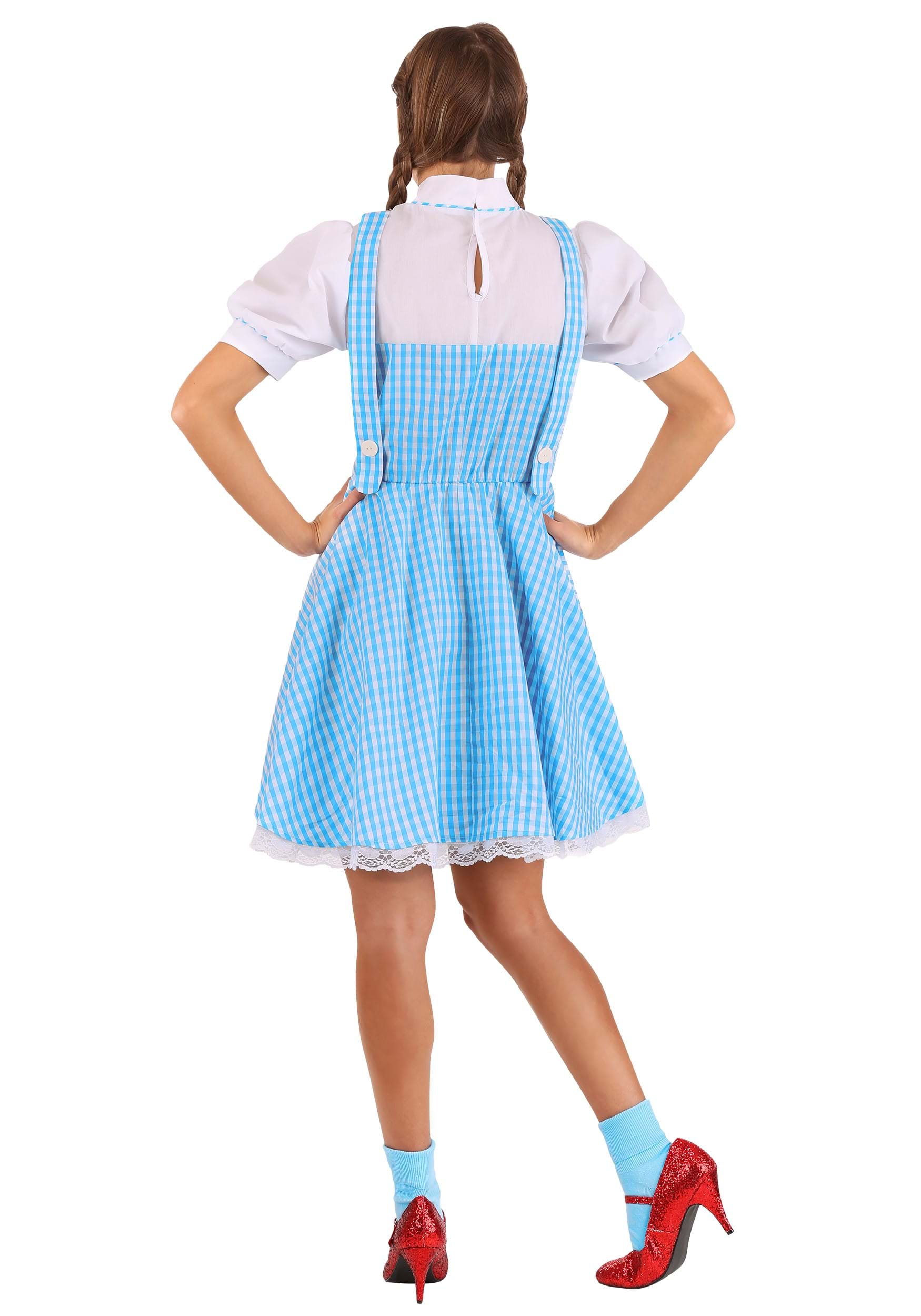 Wizard Of Oz Dorothy Adult Fancy Dress Costume