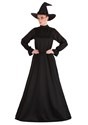 Women's Deluxe Harry Potter Mcgonagall Costume