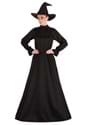 Deluxe Harry Potter Mcgonagall Plus Size Costume-alt2