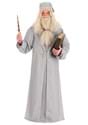 Deluxe Harry Potter Dumbledore Men's Costume
