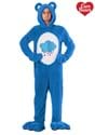 Plus Size Care Bears Deluxe Grumpy Bear Costume1