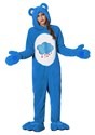 Plus Size Care Bears Deluxe Grumpy Bear Costume3