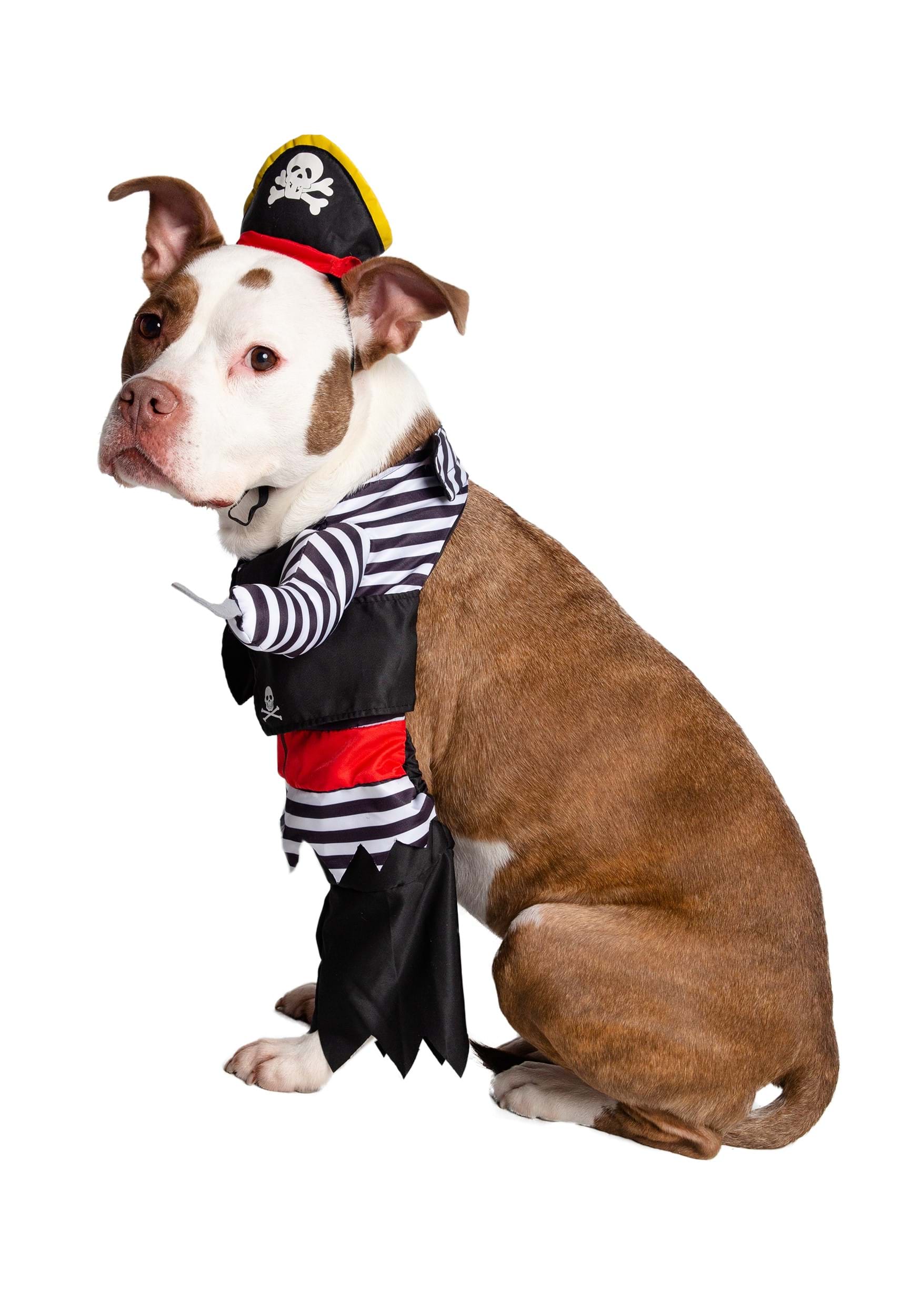 Pirate Fancy Dress Costume For Pets