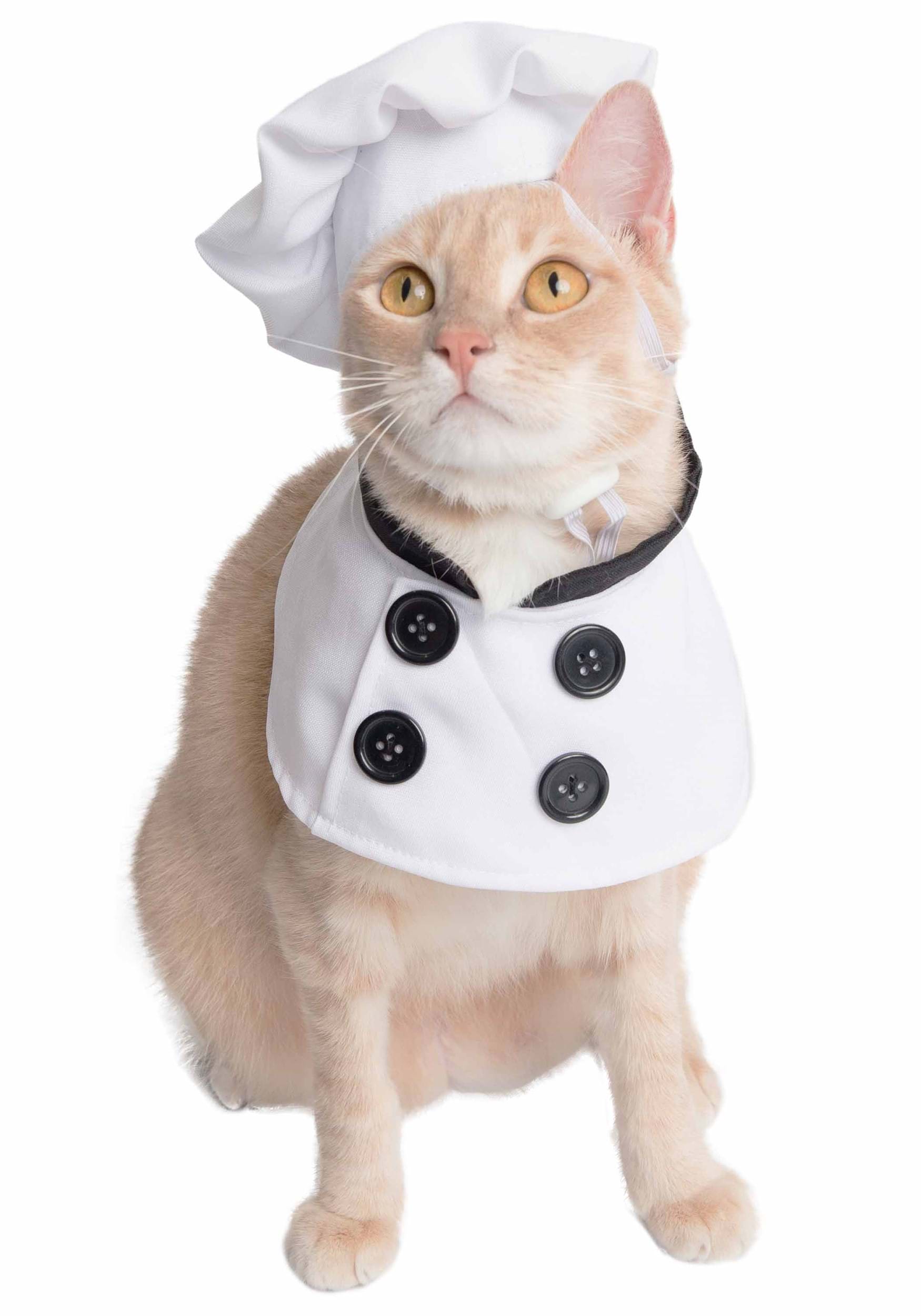 Pet Chef Fancy Dress Costume