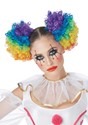 Rainbow Clown Puffs Wig