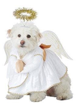 Heavenly Hound Pet Costume