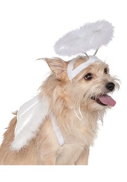 Angel Good Dog Costume