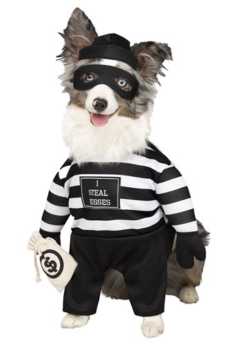 Robber Pup Pet Costume