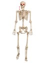 Mr. Crazy Bonez Animated Skeleton