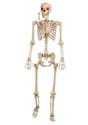 Mr. Crazy Bonez Animated Skeleton Alt 2