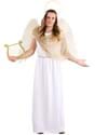 Mens Heavenly Angel Costume