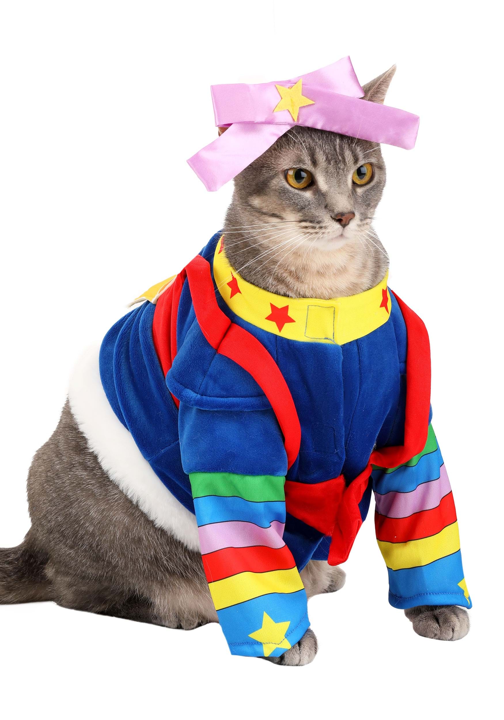 Pet Rainbow Brite Dog Fancy Dress Costume