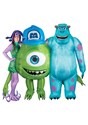 Monsters Inc Adult Sulley Inflatable Costume