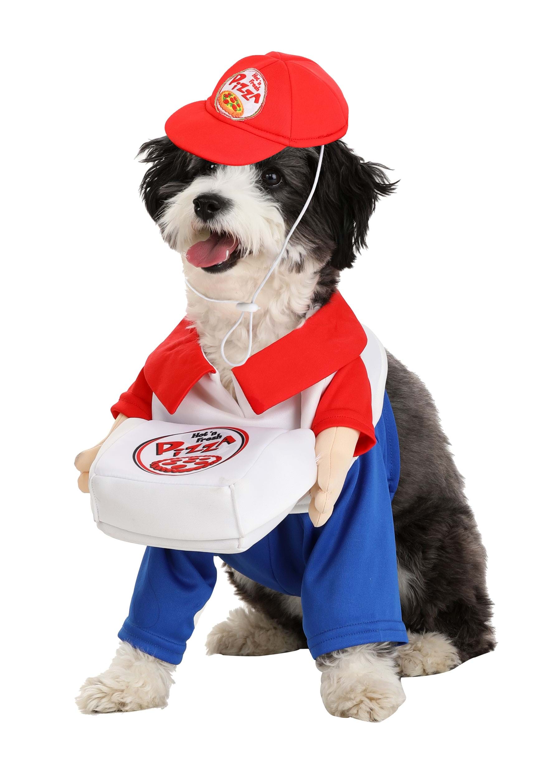 Pizza Delivery Dog Fancy Dress Costume