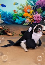 Orca Dog Costume Alt 1
