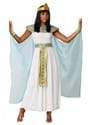 Adult Cleopatra Costume