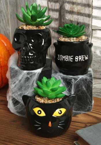 Cauldron, Cat & Skeleton Halloween Succulent Planter Set_Upd