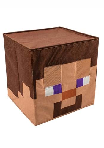 Minecraft Steve Block Head