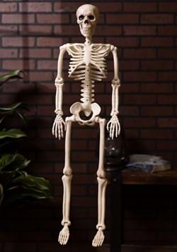 36" Posable Skeleton
