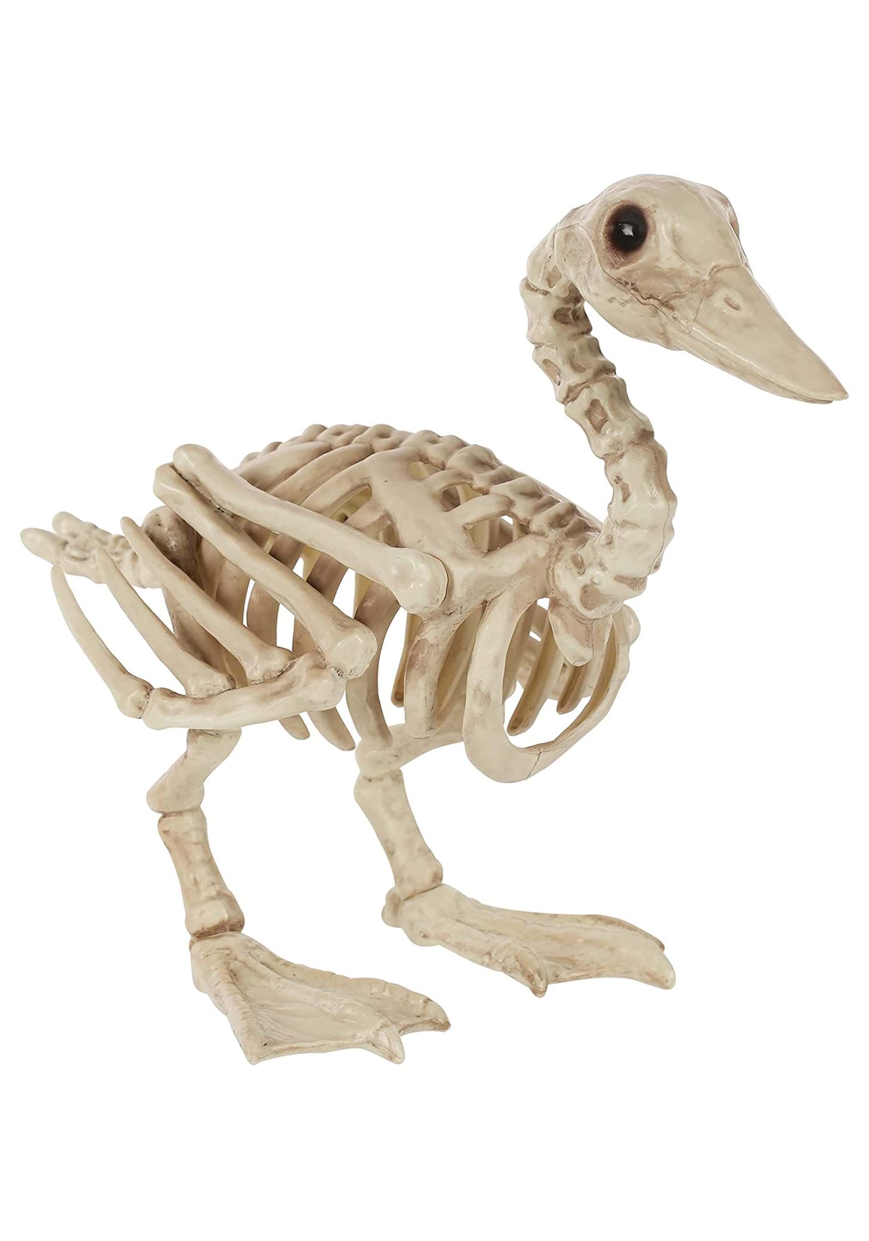 15-Inch Skeleton Duck Bonez Decoration | Animal Skeletons
