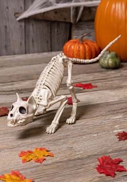 11" Lil' Kitty Skeleton