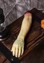 Life Size Severed Arm